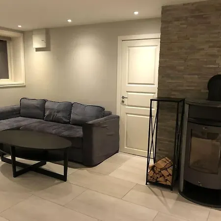 Basement Apartment
